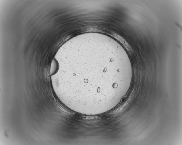 X0000097820857200804111014