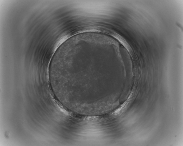 X0000097820858200804111014