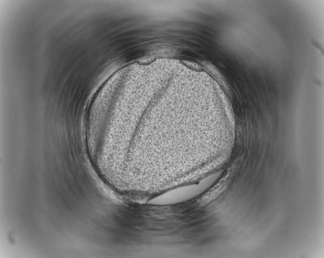 X0000097820859200804111014