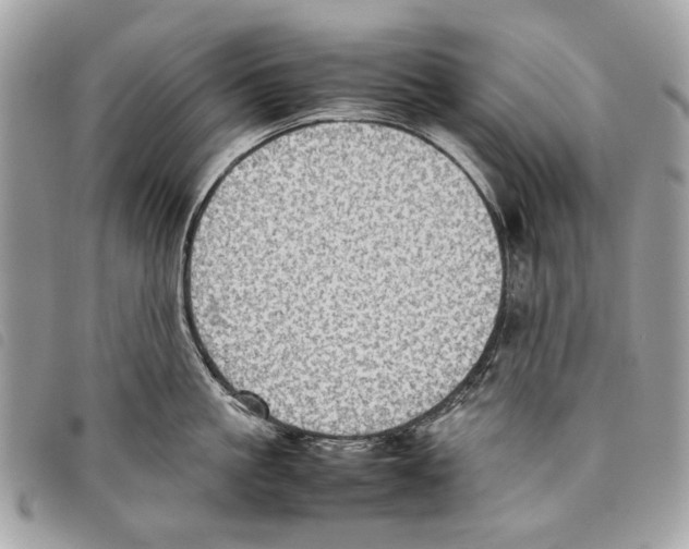 X0000097820861200804111014