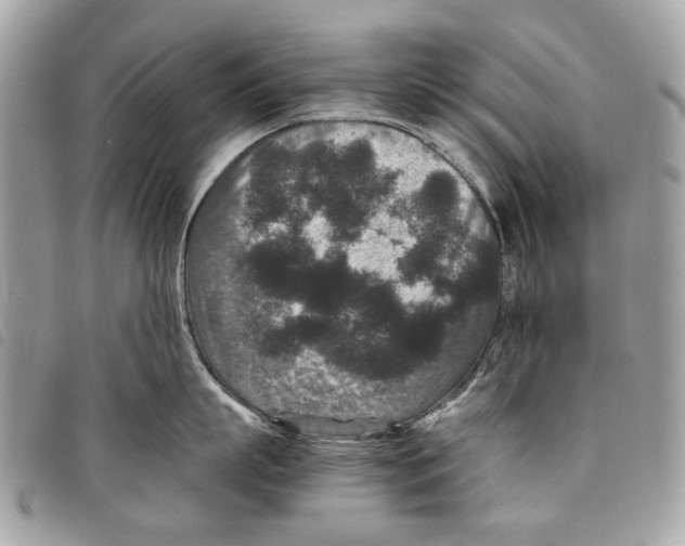 X0000097820863200804111014