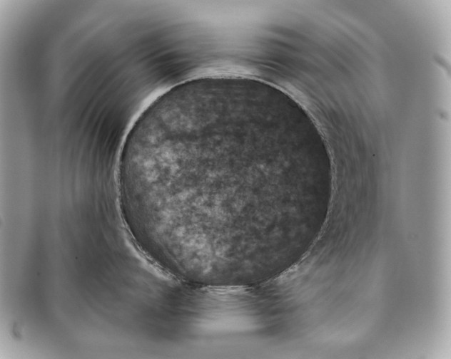 X0000097820864200804111014