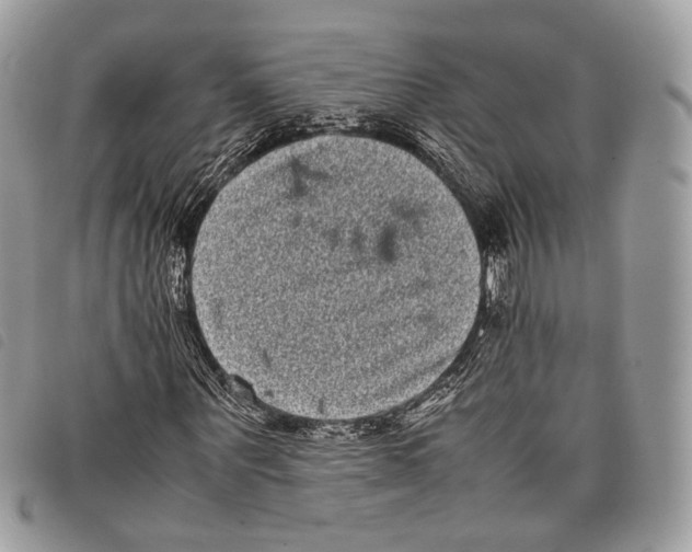 X0000097820867200804111013