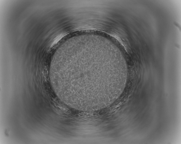 X0000097820871200804111013