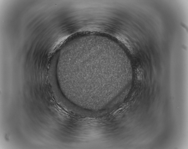 X0000097820872200804111013