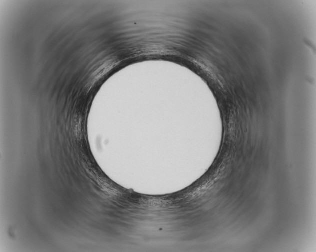 X0000097820873200804111013