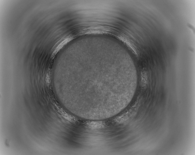 X0000097820874200804111013