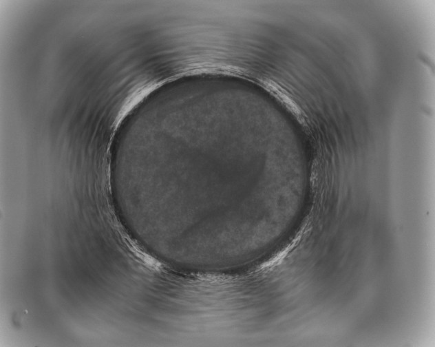 X0000097820877200804111013