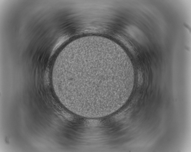 X0000097820878200804111013