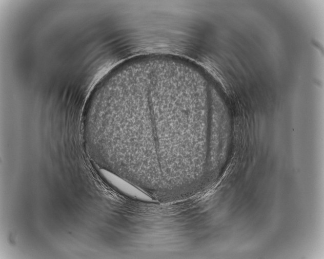 X0000097820879200804111013