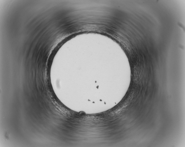 X0000097820880200804111013