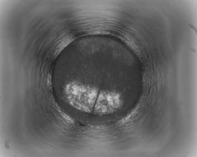 X0000097820881200804111013