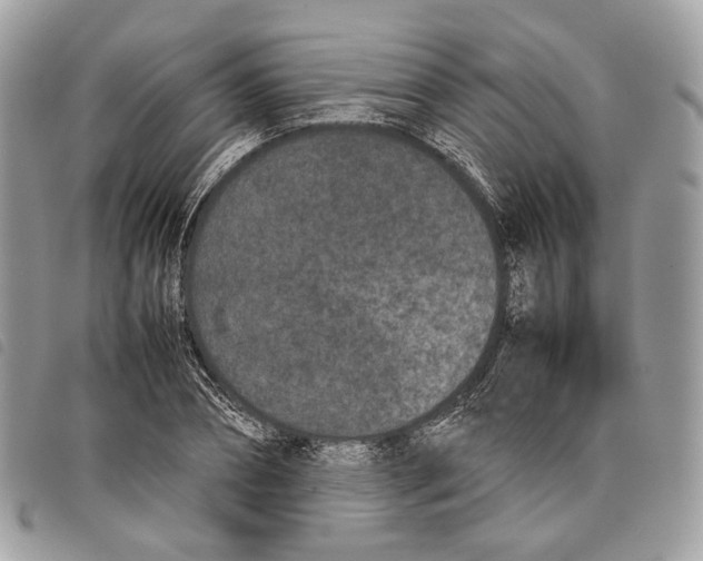 X0000097820882200804111013