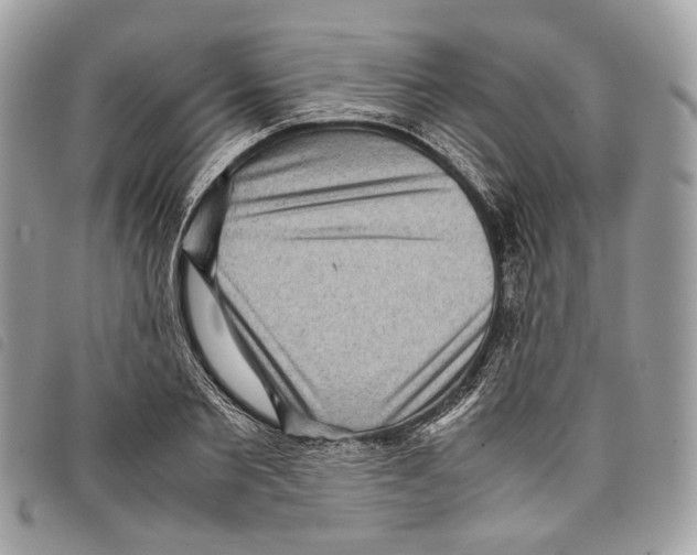 X0000097820885200804111013