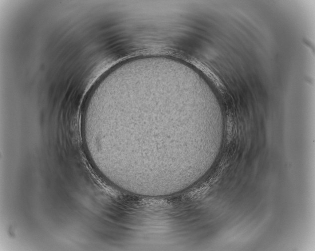 X0000097820886200804111013