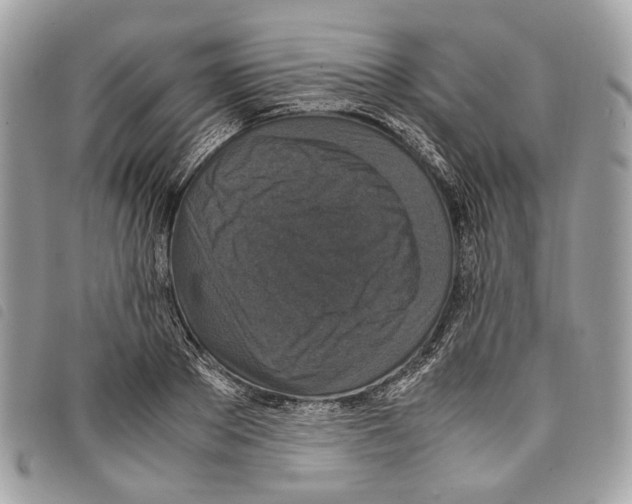 X0000097820889200804111013