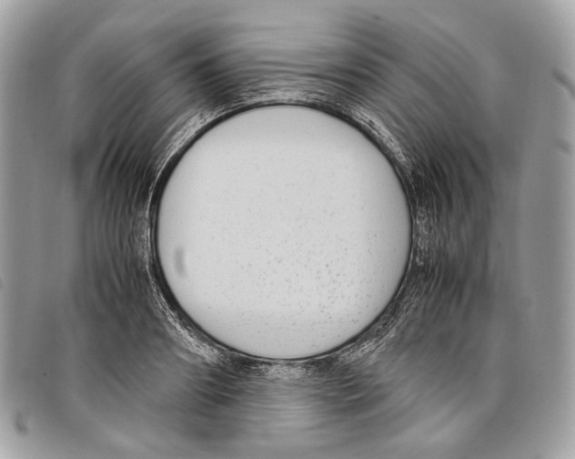 X0000097820890200804111013