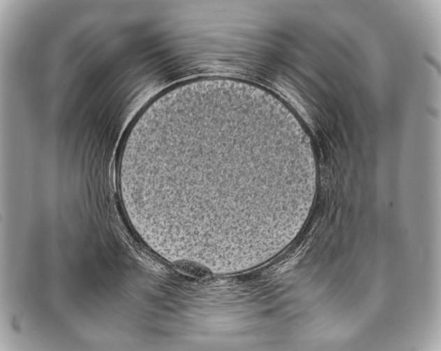 X0000097820891200804111013