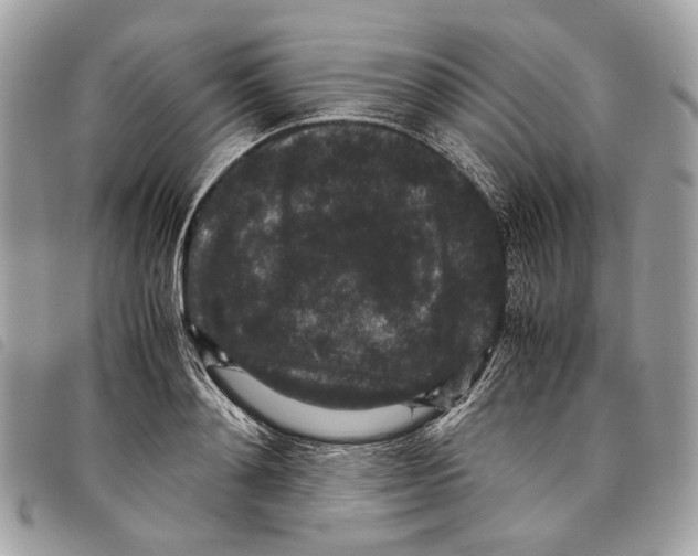 X0000097820892200804111013