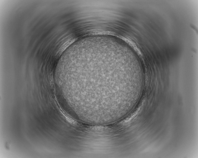 X0000097820897200804111013