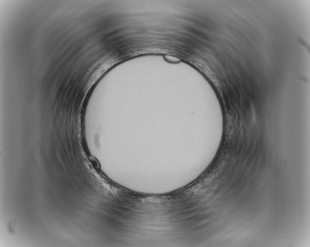 X0000097820898200804111013