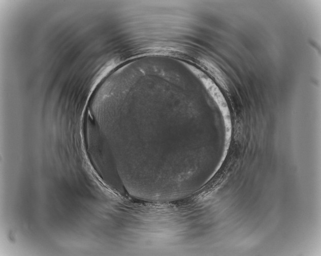 X0000097820899200804111013