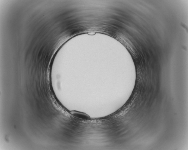 X0000097820900200804111013