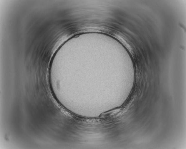 X0000097820901200804111013