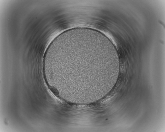 X0000097820903200804111013