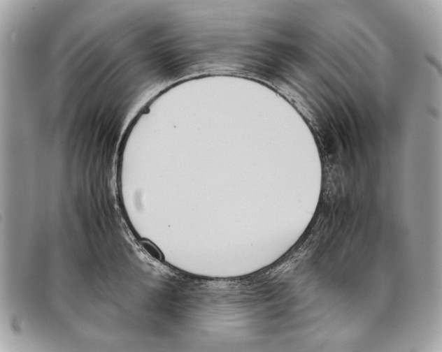 X0000097820904200804111013