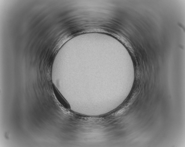 X0000097820905200804111013