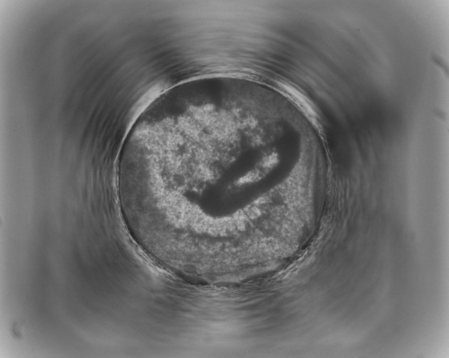 X0000097820907200804111013