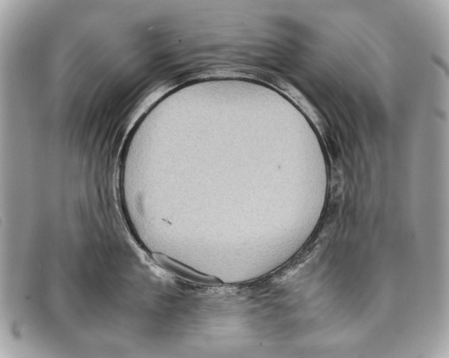 X0000097820909200804111013