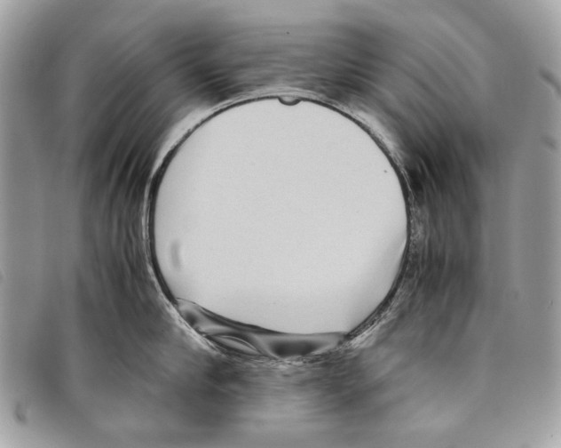 X0000097820910200804111013