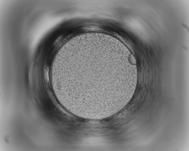 X0000097820911200804111013