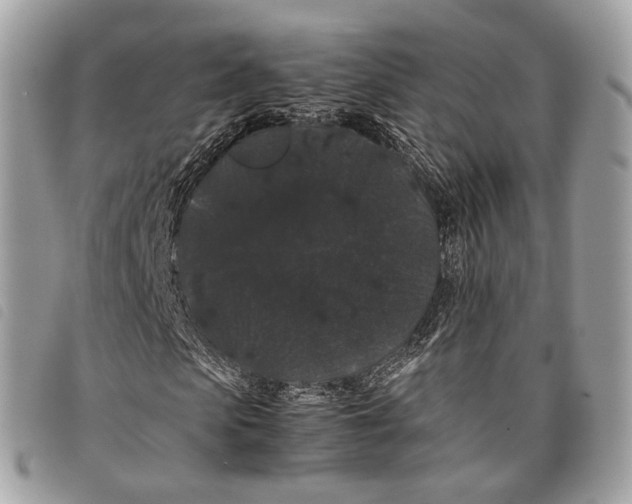 X0000097820913200804111012