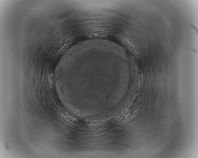 X0000097820915200804111012