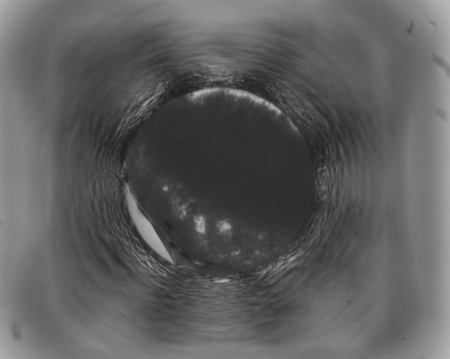 X0000097820916200804111012