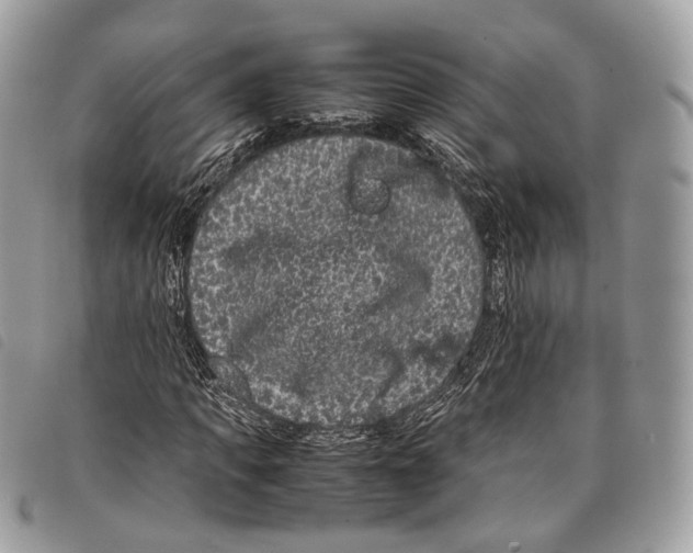 X0000097820917200804111012