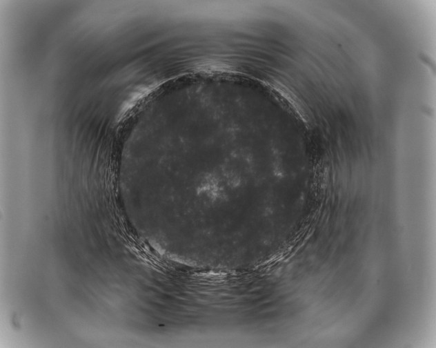 X0000097820919200804111012