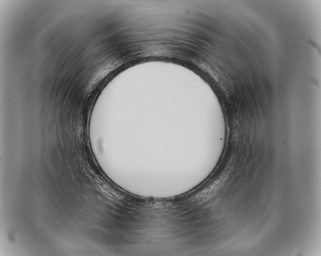 X0000097820922200804111012