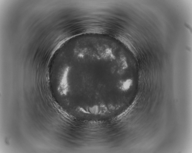 X0000097820923200804111012