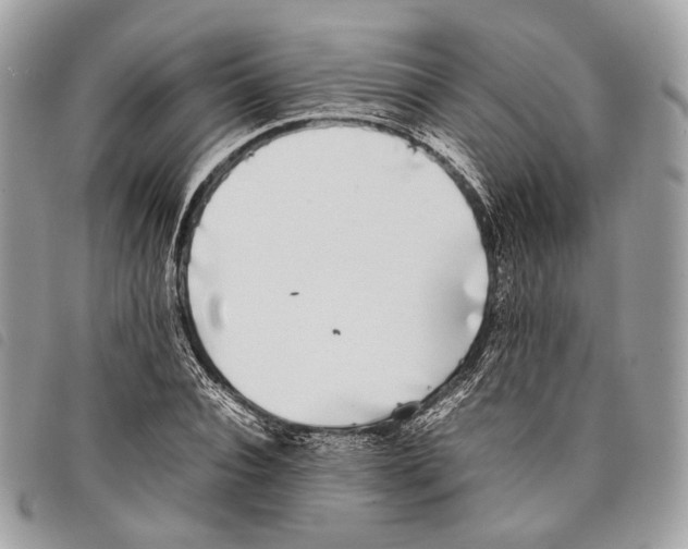 X0000097820928200804111012