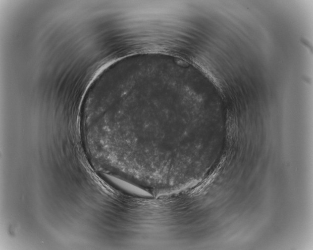 X0000097820932200804111012