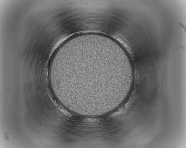 X0000097820933200804111012