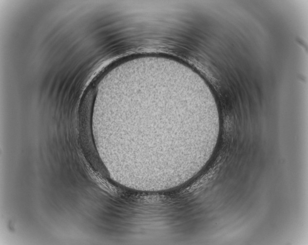 X0000097820934200804111012