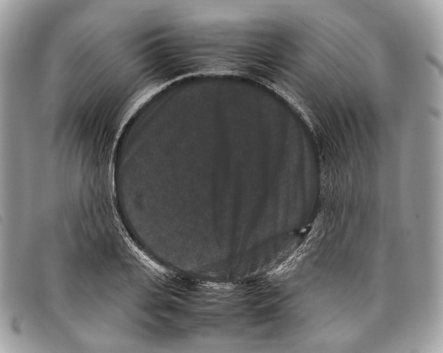 X0000097820935200804111012