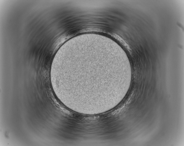 X0000097820937200804111012