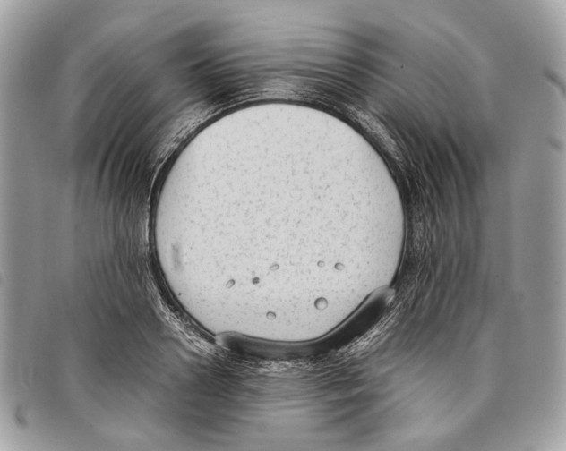 X0000097820938200804111012