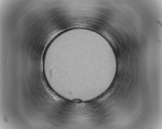 X0000097820940200804111012